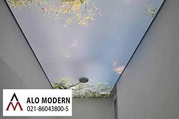 رنگ سقف کاذب سه بعدی توالت